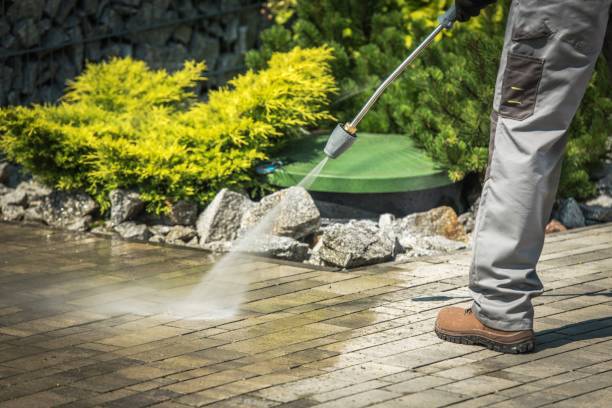 Best Driveway Pressure Washing  in Ruskin, FL